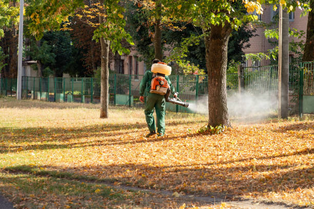Best Pest Removal Services  in Gra Forks Af, ND